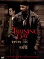 Training day